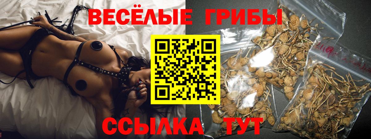 Сочи  Псилоцибиновые грибы Magic Shrooms  Галлюциногенные грибы Cubensis  Вход с VPN 